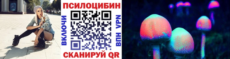 где найти   Ворсма  Псилоцибиновые грибы Psilocybine cubensis 